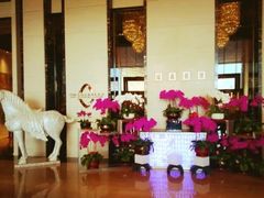 -富力希尔顿酒店·地阔自助餐厅