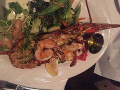 Fish&nbsp;Hopper-Fish Hopper