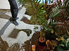 -胡桃里乐队酒馆(广州塔店)