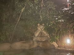 -天目湖涵田半山温泉水乐园