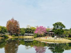 -四海公园(南山区)