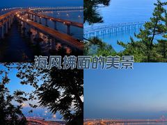 -星海湾跨海大桥