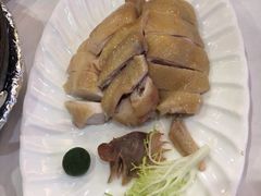 海南文昌鸡-东江海鲜酒家(艺都分店)