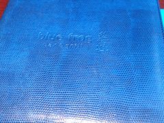 iphone_upload_pic-bluefrog蓝蛙(水游城店)