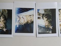 -芭比堂动物医院·心脏专科·夜诊·吉雅分院