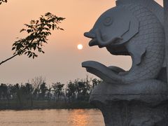 -尚贤河湿地