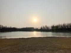 -苏州太湖国家湿地公园