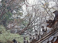 -潭柘寺景区
