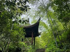 -宁波五龙潭景区