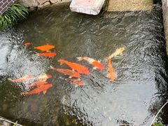 -前童古镇