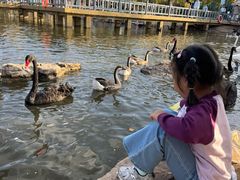 -鄂尔多斯野生动物园