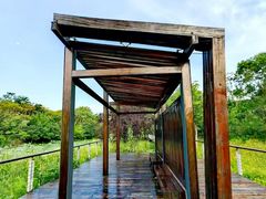 -昆山城市生态森林公园