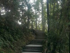 -云碧峰国家森林公园