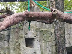 -上海动物园(地铁站)