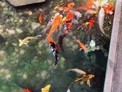 -衡山汇·高级粤菜(霄云路店)