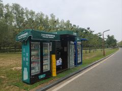 -洨河生态公园