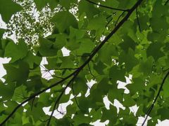 -白塘生态植物园