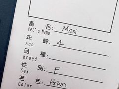 -申普宠物医院·心脏介入·心血管微创(总院)