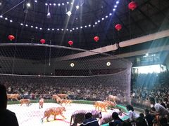 -西安秦岭野生动物园