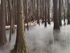 -东湖落雁景区