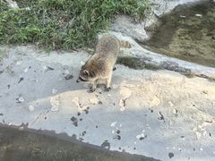 -泉州海丝野生动物世界