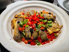 -张家卫·阳江菜·小海鲜(肥婆湾桥店)