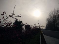 -苏州吴中太湖旅游区