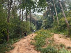 -青龙山国家森林公园