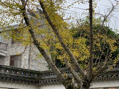 -清漾毛氏文化村