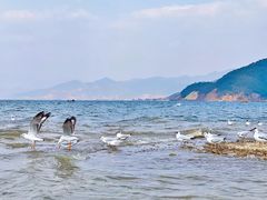 -丽江泸沽湖景区