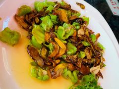 干椒牛肝菌-朱家小厨(红塔西路店)