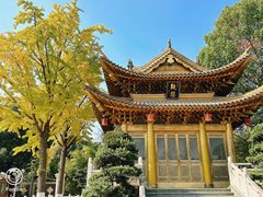 -上海东林寺(金山区)