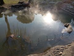 湖-苏州河梦清园环保主题公园