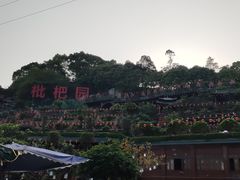 -枇杷园食为鲜火锅(南山店)