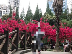 -温江公园