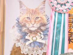 -猫十亿·布偶金渐层·曼基康矮脚猫舍(青年路店)
