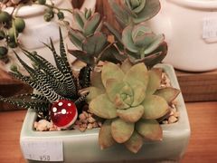 妃比花艺-妃比花艺(光启城时尚购物中心店)