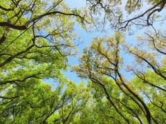 -共青国家森林公园-售票处