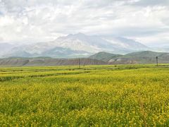 -扁都口生态休闲旅游区