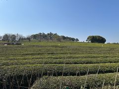 -凤凰沟景区