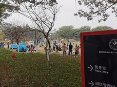 -东莞植物园