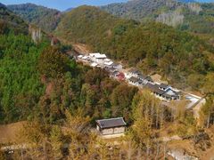 -千年银杏谷文化旅游区