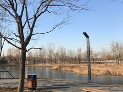 -东郊湿地公园