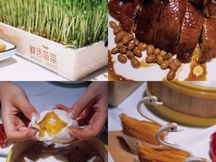 -领鲜天下·焗海鲜·花胶鸡(天目里店)