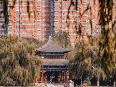 -济南大明湖景区