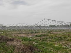 -汉长安城未央宫国家考古遗址公园