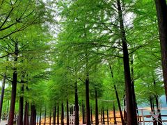 -云和湖仙宫景区