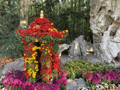 -上海共青森林公园