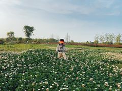 -汉长安城未央宫国家考古遗址公园