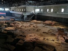 -自贡恐龙博物馆